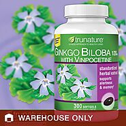 Ginkgo Biloba 120mg Thuốc Bổ Não Của Mỹ 300 Viên Mẫu Mới