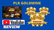 PLR Goldmine Review - [Don't Miss out on Great Bonuses] Honest Review of PLR Goldmine