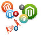 Hire Magento Web Developer & SEO Specialists give your business new wings