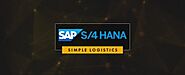 SAP Simple Logistics Training in Chennai | Hands on Training