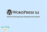WordPress 5.5 Update – How It Has Become a Bottleneck for the Websites Across the Globe?
