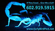 Scorpion Pest Control Exterminator in the Phoenix AZ Valley