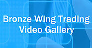 Financial Instruments Providers – Bronze Wing Trading Reviews