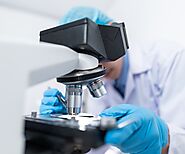 Microscope Manufacturers | Buy Digital & Laboratory Microscope