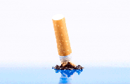 CigaretteZoom.com - Zoom on cigarettes