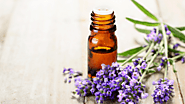 Lavender Essential Oil-