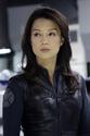 Agents of S.H.I.E.L.D. (Episodes 8-16)