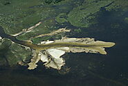 Visit Okavango Delta