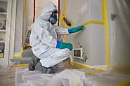 Professional Mold Remediation Services In Fort Myers