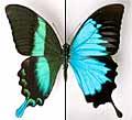 Online Jigsaw Puzzles - from Children's Storybooks Online