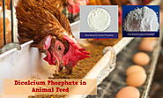 Use of Dicalcium Phosphate in Animal Feed | Shivam Chemicals Blog