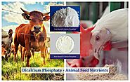 Dicalcium Phosphate - Animal Feed Nutrients | Shivam Chemicals Blog