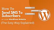 How To Send SMS To Subscribers of Your WordPress Website (The Easy Way Explained)  – Telegraph