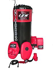 LEW All in One Combo Punching Bag