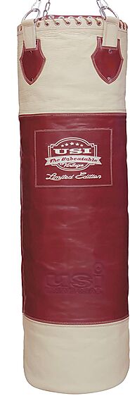 Buy USI Vintage Leather Boxing KIT (626V) Online at Low Prices in India - Amazon.in
