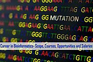 Career in Bioinformatics - Scope, Courses, Opportunities and Salaries