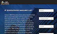 IT Decision Makers Email List