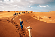 Sunrise Camel Trek Tour in Merzouga Sahara