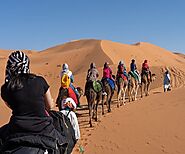 Morocco Camel Tours