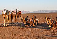2 days Desert Tour from Marrakech to Zagora - Morocco
