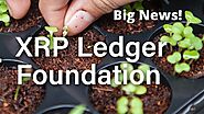 XRP Ledger Foundation Launches to Drive Growth and Development of the Core XRP Ledger and Community