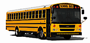 Why are Driving Lessons for a School Bus Driver Important?