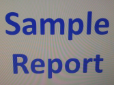 Sample Sellers Report