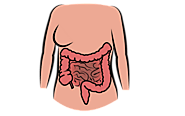 The 10 Riskiest Digestive System Diseases You Need To Know Now (And What You Can Do About Them)