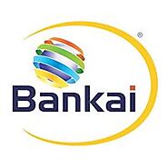 Bankai GroupTelecommunication Company in Garden City, New York