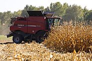 Adjust Combine Settings For Corn Ahead Of The Harvest Season