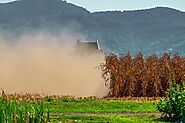 Tips to Increase Harvesting Efficiency Using Combine Concaves for Peas