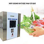 Tìm hiểu về máy tạo khí ozone khử độc thực phẩm Ecomax Ozone
