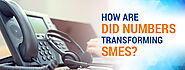 How are DID numbers transforming SMEs?