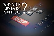 Why VoIP Termination Is Critical? – Bankai Group