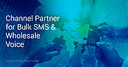 Channel Partner for Bulk SMS & Wholesale Voice