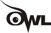 Purdue OWL: Essay Writing