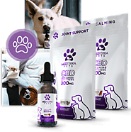 Buy CBD And Hemp Products For Pets