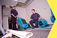 Efficient Dehumidification Services in Sandy Springs for Comfortable Living