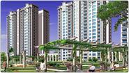 Amrapali Group | Residential | Commercial | Township | IT Parks