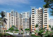 Amrapali Group :- Top investment in Real Estate - Amrapali Group Noida Projects