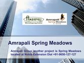 Amrapali Spring Meadows Noida Extension @9650-127-127