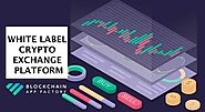 Withstand the heavy competition by indulging in White-label Cryptocurrency Exchange Development