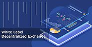 Maximize your revenue with White-label Cryptocurrency Exchange Development