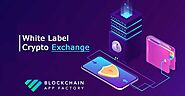 Acquire global reach by availing a Crypto exchange White label solution