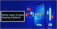 Manage the ever-changing conditions by buying a Whitelabel Crypto Exchange