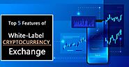 Discover the top 5 features of White-label Cryptocurrency Exchange.