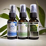 PCR HempWholesale — How To Choose Best CBD Oil For Pain Relief