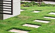 How to Choose the Best Landscaping Company in Your Locality