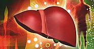 Implementation of Bioengineering to build Human Liver - Insights care