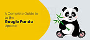 What is Google Panda and why you should pursue a Google Panda Penalty course? - Brandveda